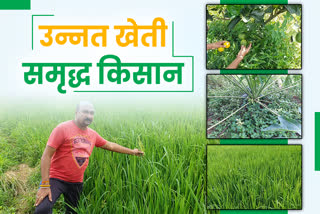 advanced farming in chhattisgarh