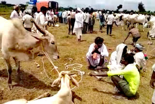 ಜಾನುವಾರು ಸಂತೆ