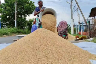 NCDC Sanctions Rs 19,444 Cr To 3 States For Paddy Procurement At MSP