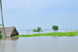 submerged karakatta