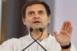 MP Rahul Gandhi