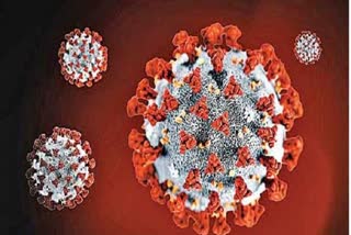 chief and quick corona test developed by indian scientists