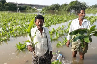 Andhra Pradesh Krishna Floods