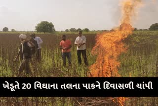 Bhavnagar