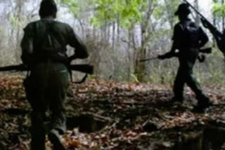 Maoist killed in encounter  Bijapur's Gangaloor  exchange of fire with security forces  Chattisgarh Maoist killed  Police Maoist gunfight  ഛത്തീസ്‌ഗഡിലെ ബിജാപൂരിൽ മാവോയിസ്‌റ്റ് കൊല്ലപ്പെട്ടു  ഛത്തീസ്‌ഗഡിലെ മാവോയിസ്‌റ്റ് ആക്രമണം  സുരക്ഷാ സേന- മാവോയിസ്‌റ്റ് വെടിവയ്‌പ്