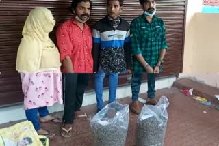 Big cannabis hunt in Thrissur  cannabis hunt in Thrissur  cannabis in Thrissur  തൃശൂരിൽ വൻ കഞ്ചാവ് വേട്ട  കഞ്ചാവ് വേട്ട  തൃശൂരിൽ കഞ്ചാവ്