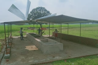 cow shelter in varanasi