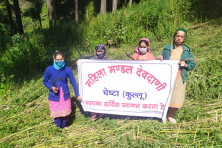 Devdhani Mahila Mandal started  Bhang Ukhado campaign in Kullu