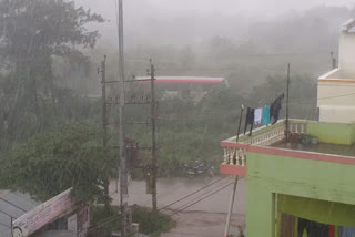 Heavy rainfall in Hassan