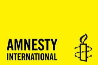 Amnesty halts India operations, cites freezing of accounts on 'unfounded' allegations