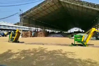 paddy purchase not started in ambala grain market