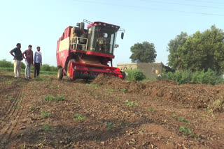 halvad farmer news