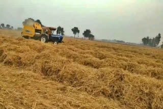 stubble burning ban in fatehabad