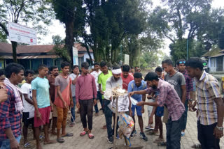 Protest In Dhubri Pub Bilashipara