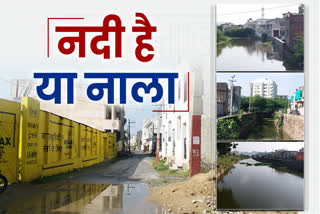 बाड़ी नदी नाले में तब्दील, Bari river turned into drain