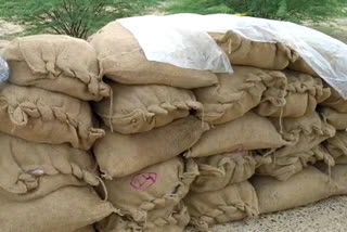 2 tons of turmeric seized for smuggling to Sri Lanka
