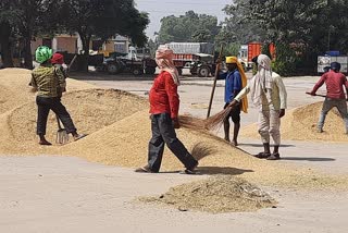 farmers upset due to lake of drinking water in kharkhoda grain market