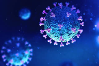 coronavirus