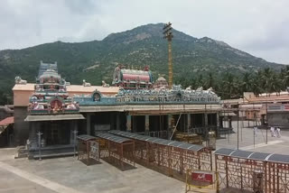 tiruvannamalai temple