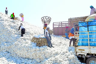 cotton purchasing at district border only in kamareddy