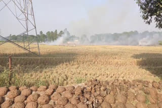 farmers  burning stubble in hisar