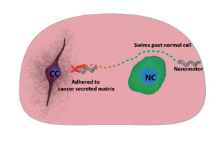 Nanomotor research