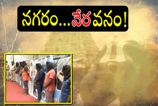 Crime Rate Hike in tirupathi