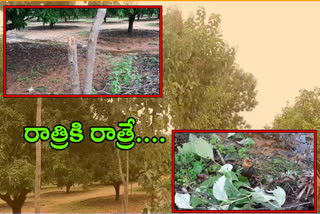 teak trees Abduction in nagarkurnool district