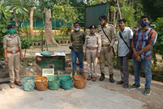 Vadodara Forest Department