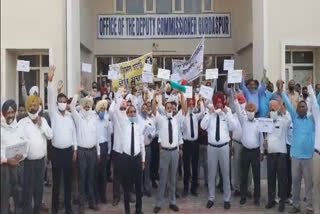 lawyer protests against agricultural laws in Gurdaspur