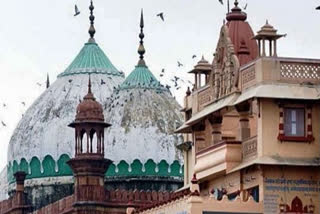 Mathura Court dismisses plea seeking removal of mosque near Lord Krishna's birthplace