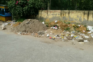 garbage problem in hari nagar delhi