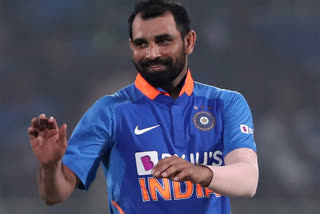 mohammed shami