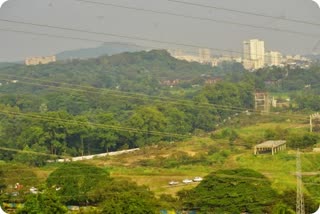 Aarey