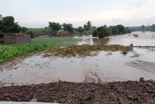 more than 100 percent rainfall in 66 villeges of various taluka at solapur district