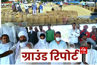 problems of neighbor state farmers for paddy procurement in haryana mandi