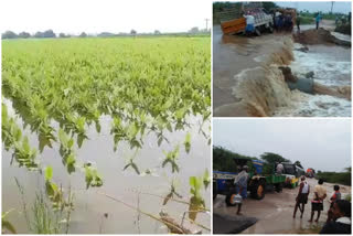 Krishna floods