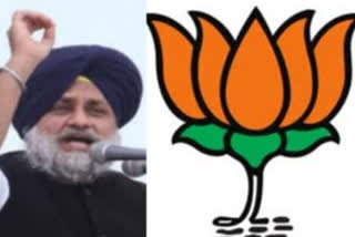 Why did Akalidal quit NDA?