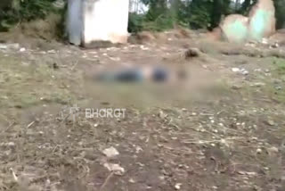 Rowdy Sheeter Sharukh murder at Bhadravati