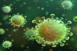 Coronavirus treatment: Common low-cost enzyme Catalase may help treat COVID-19, says report