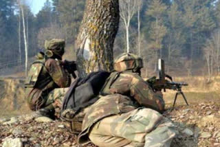 Army jawan killed, another injured in Pak firing along LoC in J&K's Poonch