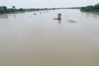 Heavy rain in koppala