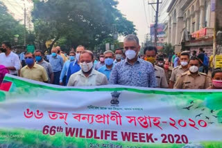 আজিৰে পৰা আৰম্ভ ৬৬সংখ্যক বন্যপ্ৰাণী সপ্তাহ