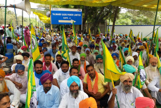 BKU ugarahan stage dharna outside Talwandi Sabo Thermal in protest of agriculture ordinances