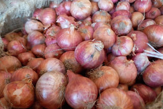 nashik exporters fear end of Indias monopoly in international market for onion export ban