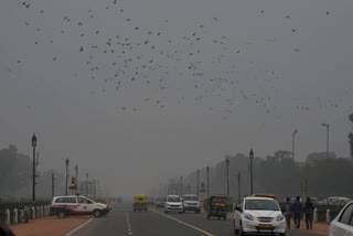 Delhi's air quality 'moderate'  Poor AQI of Delhi  Air Quality Index  Air pollution in Delhi  ഡൽഹിയിലെ വായുവിന്‍റെ ഗുണനിലവാരം മോശമാകാൻ സാധ്യത  ഡൽഹിയിലെ വായുവിന്‍റെ ഗുണനിലവാരം  വായുവിന്‍റെ ഗുണനിലവാരം  ഡൽഹിയിലെ വായു