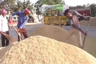 paddy Purchase start after farmers protest in karnal
