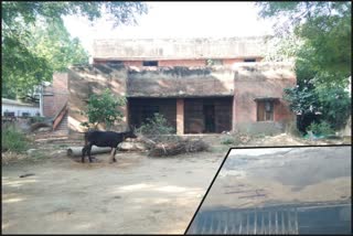 panchayat-house-in-kharkhari-nahar-village-becomes-home-for-cattle-local-people-upset