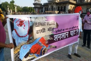 protest in Jaipur, हाथियों को लेकर प्रदर्शन
