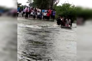 Raichur: some Standing in the flowing water...video